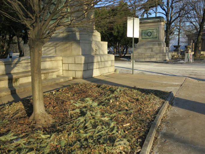 Mulched Christmas trees end up at city parks, like Brooklyn’s Prospect Park.