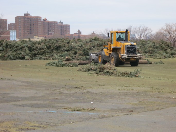 A front-end loader, with a telephone pole clenched in its jaws, plows cleaned trees into a mountainous pile.